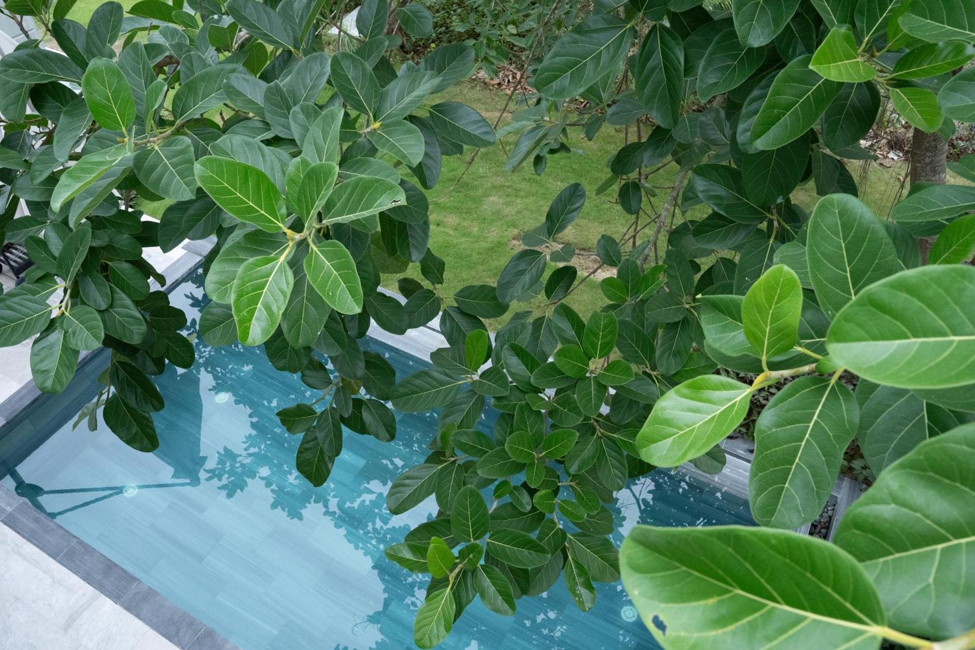 "Brg Golf Club" - Danang Private Pool Villa 3 Bedrooms #1 المظهر الخارجي الصورة